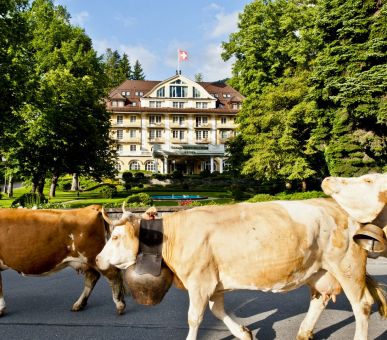 Photo Le Grand Bellevue (Швейцария, Гштаад) 4