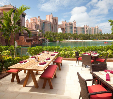 Photo Atlantis Paradise Island Resort (Багамские острова, Нассау, о. Парадиз, о. Нью-Провиденс) 16