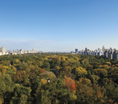 Фото The Ritz-Carlton New York, Central Park (США, Нью-Йорк) 21