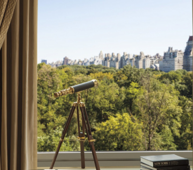 Фото The Ritz-Carlton New York, Central Park (США, Нью-Йорк) 25