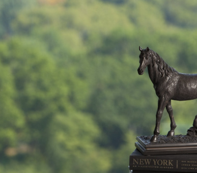 Фото The Ritz-Carlton New York, Central Park (США, Нью-Йорк) 16