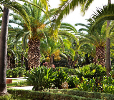 Photo Sofitel Rabat Jardin des Roses (Марокко, Рабат) 10