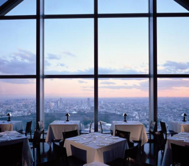 Photo Park Hyatt Tokyo (Япония, Токио) 19