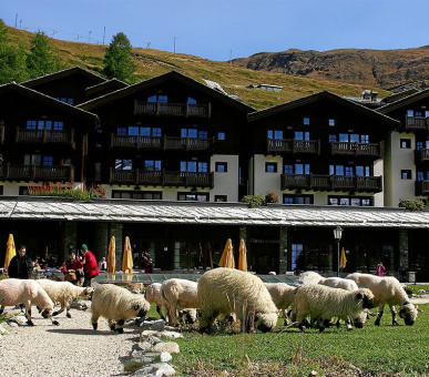 Photo Riffelalp Resort 2222m (Швейцария, Церматт) 25