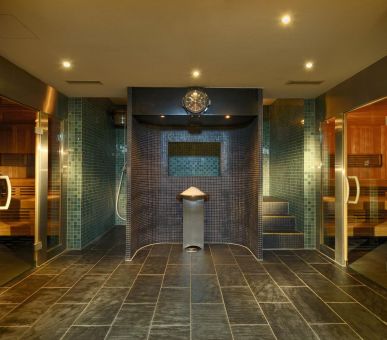 Фото Seiler Mont Cervin Palace  10