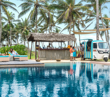 Photo  7