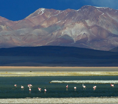 Фото Hosteria Awasi San Pedro de Atacama (Чили, Атакама) 6