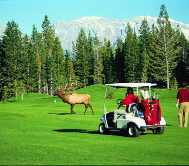 Photo The Fairmont Banff Springs (Канада, Банфф, штат Альберта) 40