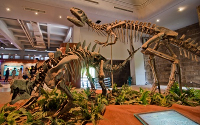 Image Best dinosaurs museums in the world 6 Photo Best dinosaurs museums in the world 6