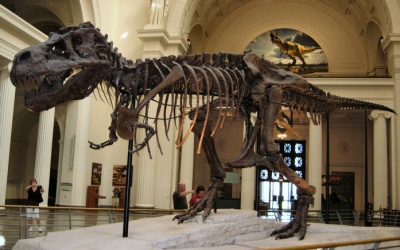 Image Best dinosaurs museums in the world 3 Photo Best dinosaurs museums in the world 3