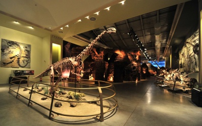 Image Best dinosaurs museums in the world 7 Photo Best dinosaurs museums in the world 7