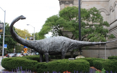 Image Best dinosaurs museums in the world 1 Photo Best dinosaurs museums in the world 1