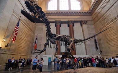 Image Best dinosaurs museums in the world 4 Photo Best dinosaurs museums in the world 4