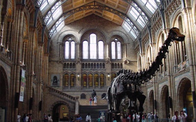 Image Best dinosaurs museums in the world 5 Photo Best dinosaurs museums in the world 5