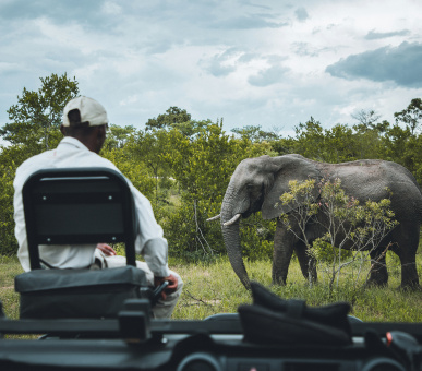 Classic safari: Cape Town, Kruger National Park and Victoria Waterfall Classic safari: Cape Town, Kruger National Park and Victoria Waterfall