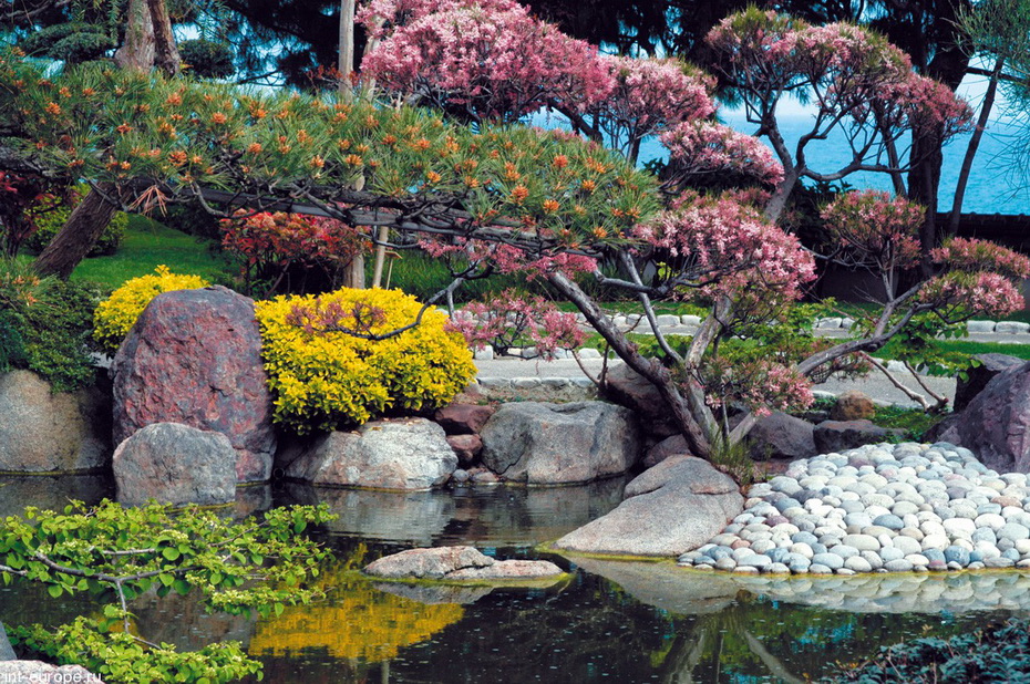 Очарование и спокойствие Монако: сады и парки