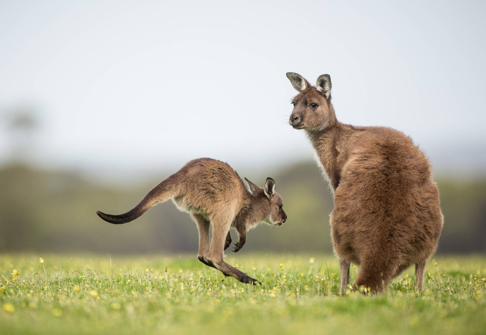 Comfort and Care at the Edge of the World