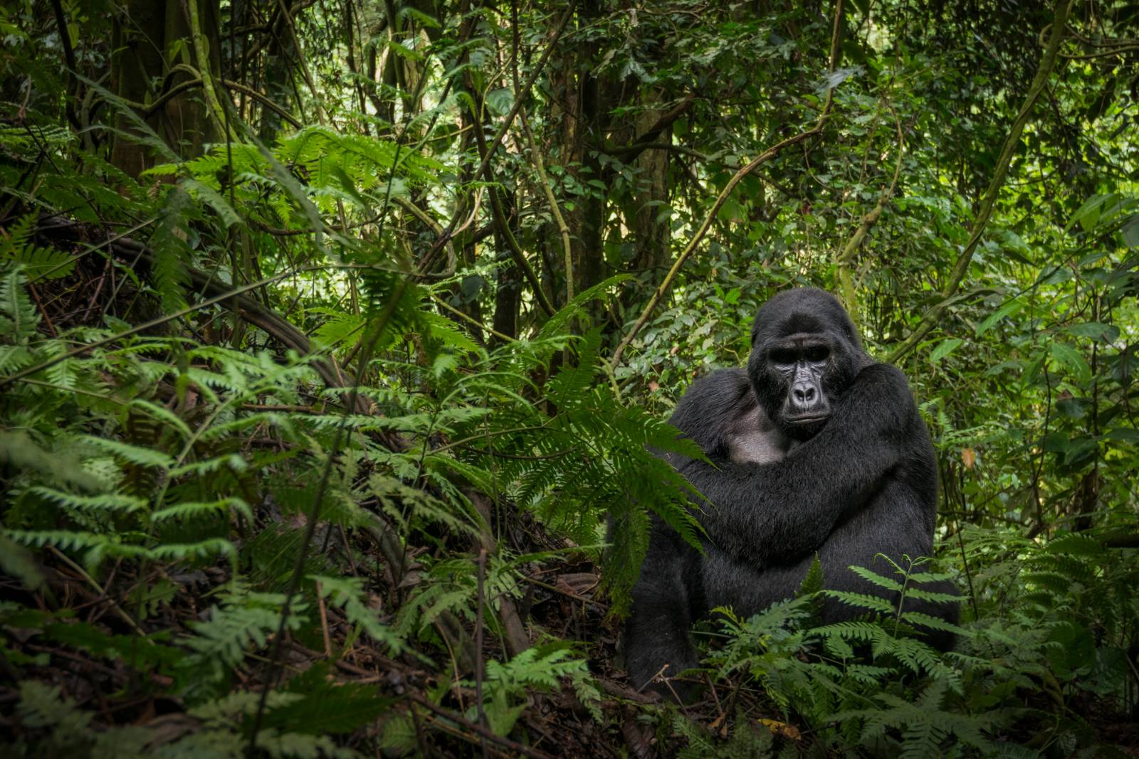 Africa: For Those Who Never Stop Discovering