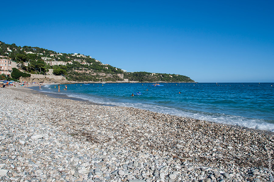 Новости Монако